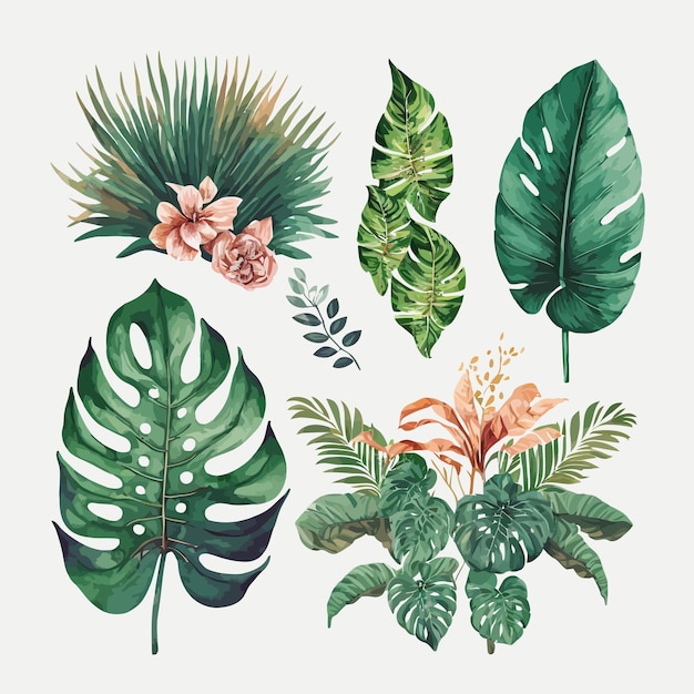 Ilustração floral tropical em aquarela com folhas verdes para modelo de elementos decorativos estacionários de casamento ilustração plana dos desenhos animados isolada no fundo branco