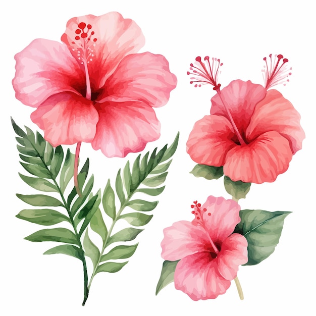 Vetor ilustração floral