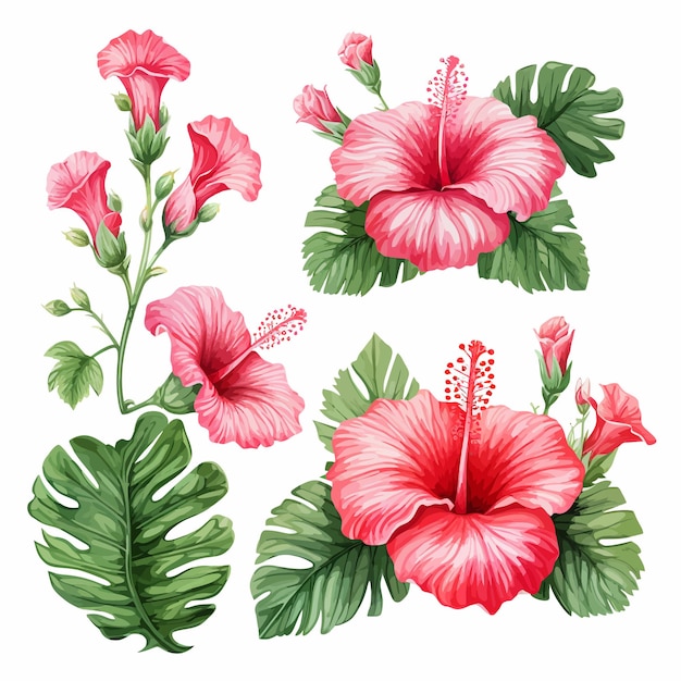 Vetor ilustração floral