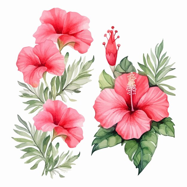 Ilustração floral