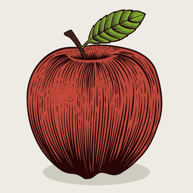 Ilustração fruta de maçã vintage vermelha com estilo de gravura em fundo branco