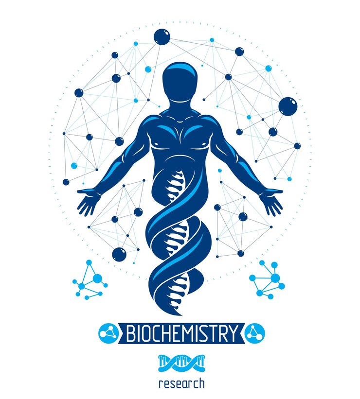 Vetor ilustração gráfica vetorial de macho forte representado como continuação de símbolo de dna e criado com conexões de wireframe. bioengenharia como a direção da genética.