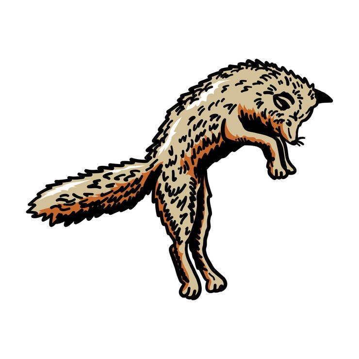 Vetor ilustração gráfica vetorial fox para modelo de design elemen ilustração etc