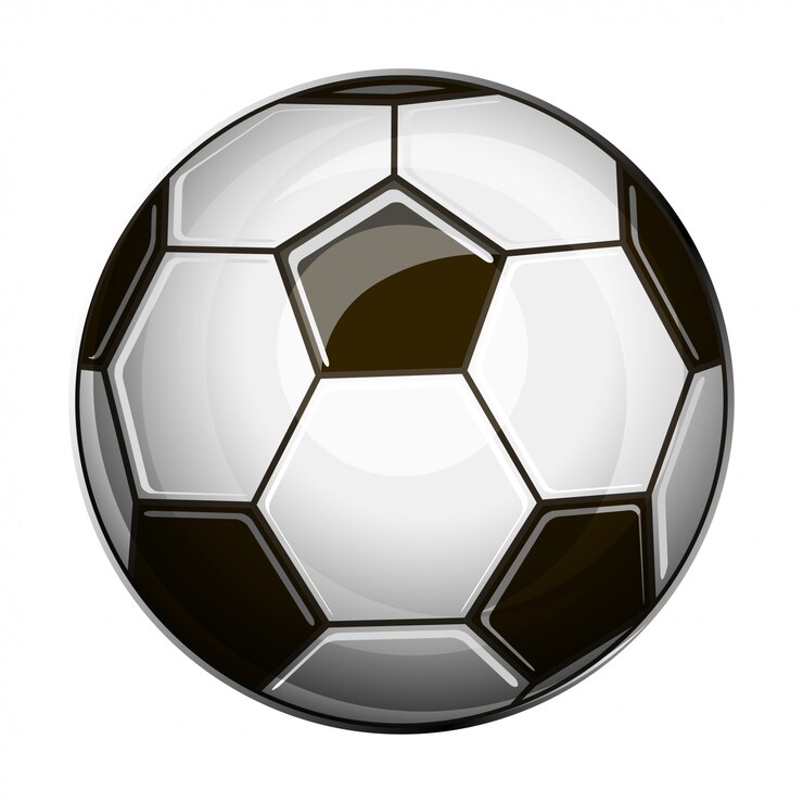 Vetor ilustração isolada da bola de futebol preto e branco no fundo branco