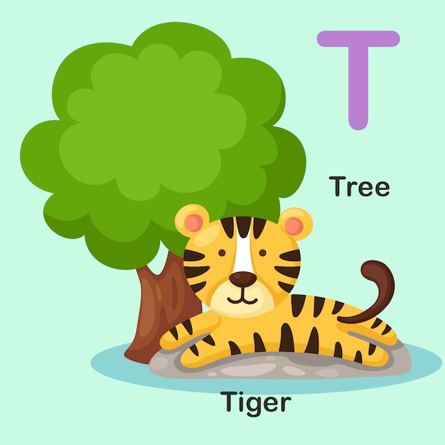 Ilustração isolado animal alfabeto letra t-tree, tigre