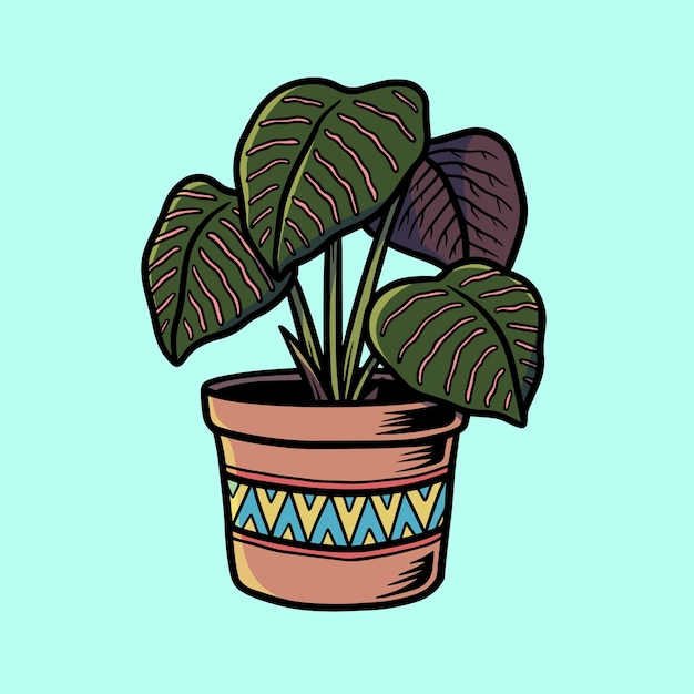 Vetor ilustração linda calathea