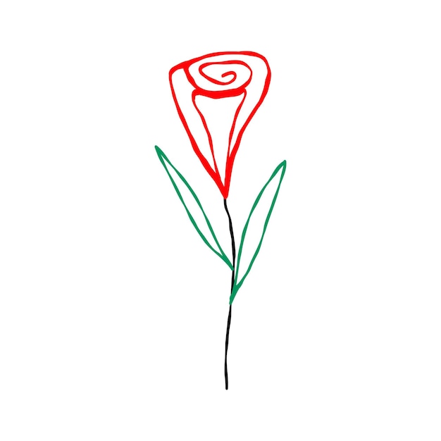 Ilustração linear desenhada à mão de rosa vermelha em estilo doodle moderno