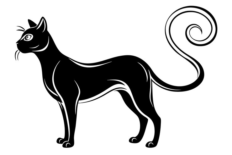 Vetor ilustração minimalista de gato com cauda em espiral
