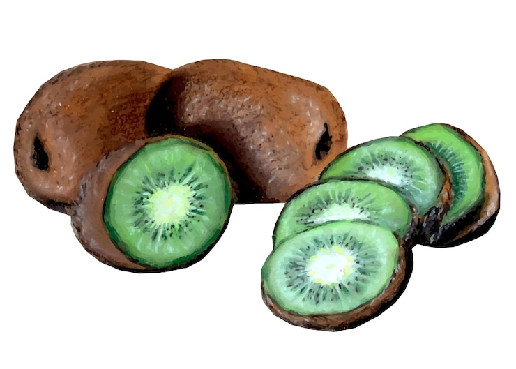 Vetor ilustração pastel de fatias de kiwi