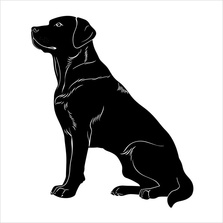 Vetor ilustração plana da silhueta do cão labrador retriever