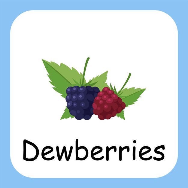 Ilustração plana de dewberries com educação de design vector de texto para crianças.