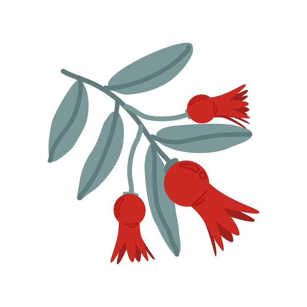 Vetor ilustração plana de flores de romã vermelha vetorial no fundo branco