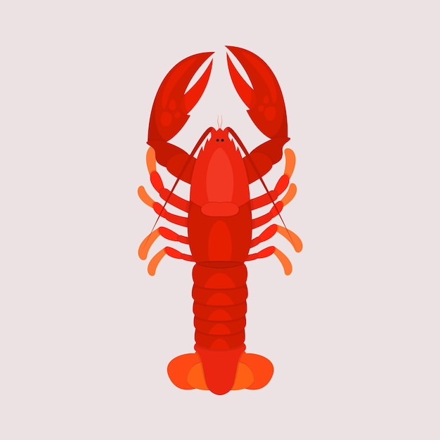 Vetor ilustração plana de lagosta