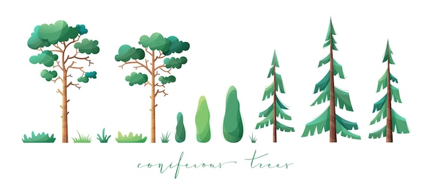Vetor ilustração plana de pinheiro, abeto, cipreste e grama