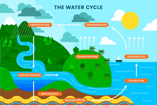 Ilustração plana do ciclo da água