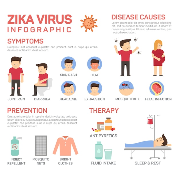 Ilustração plana vetorial de infográficos do vírus zika