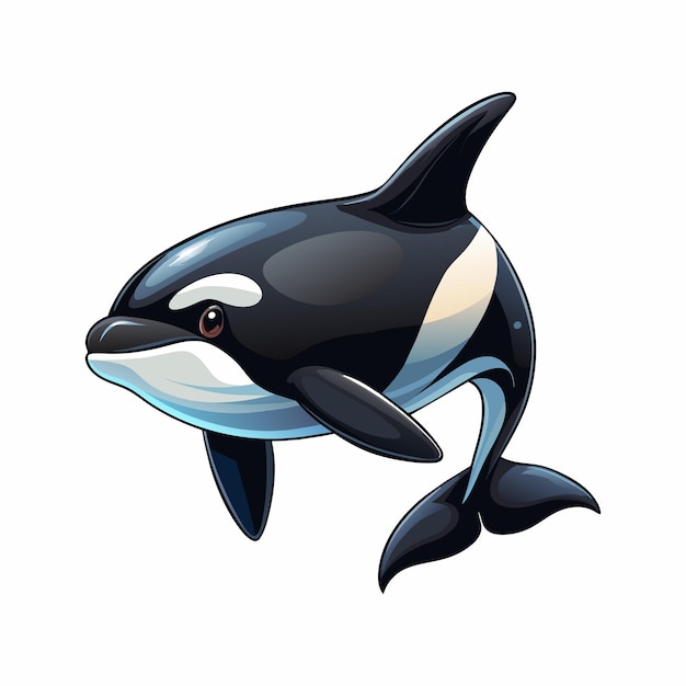 Ilustração realista de animais de desenho animado de baleia orca