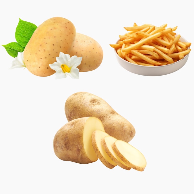 Ilustração realista de batatas vetorial livre