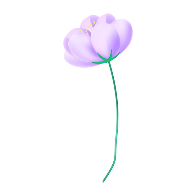 Ilustração realista de flores de cerejeira em fundo branco
