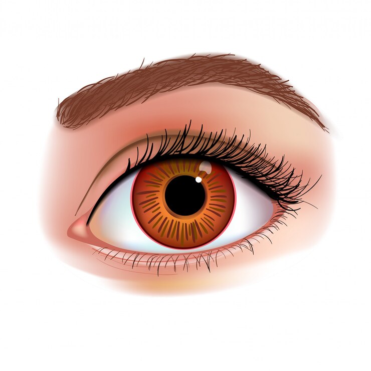 Vetor ilustração realista de olho de mulher
