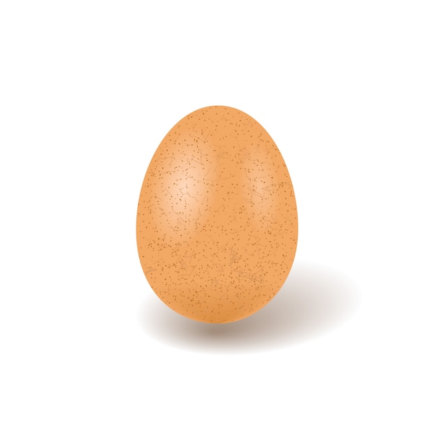 Ilustração realista de ovo de galinha