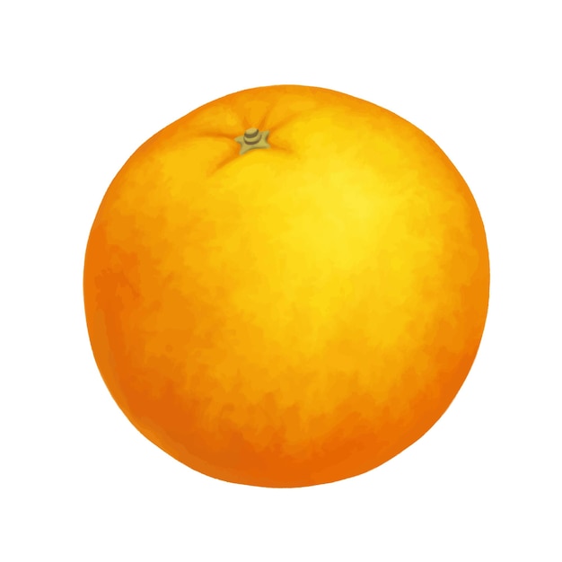 Ilustração realista de vetor laranja inteira isolada no fundo branco Clipart de ícone eps laranja