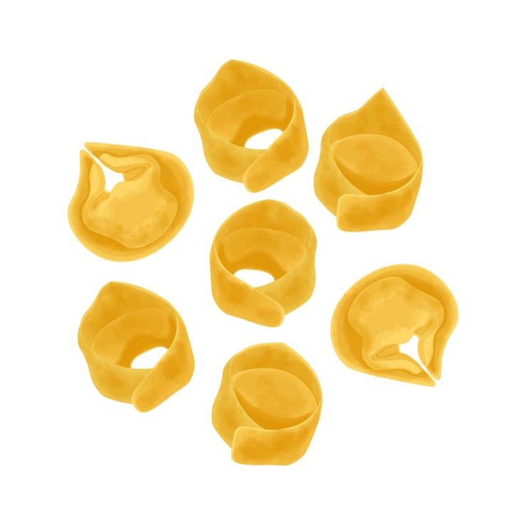 Vetor ilustração vector logo clipart tortellini cru italiano dumpling isolado