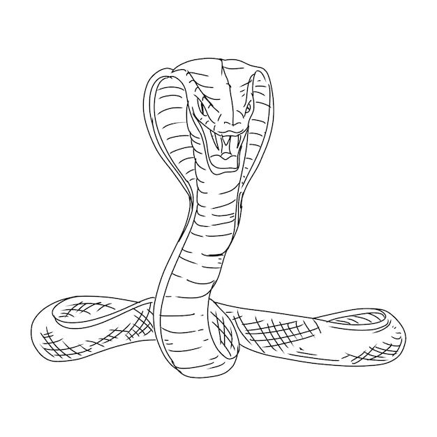 Vetor ilustração vetor de cobra animal vida selvagem serpente conjunto de vetores de ilustrações de rabiscos desenhados à mão