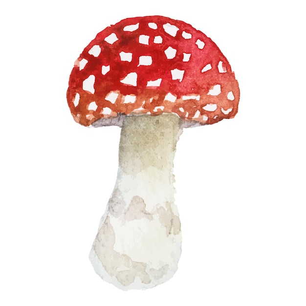 Ilustração vetorial abstrata em aquarela de cogumelos de outono elementos de design de natureza desenhados à mão isolados no fundo branco
