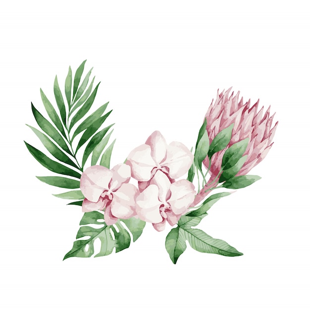 Ilustração vetorial, aquarela buquê com folhas e flores tropicais, orquídea branca, rosa rosa e branco antúrio, monstera e folhas de palmeira.