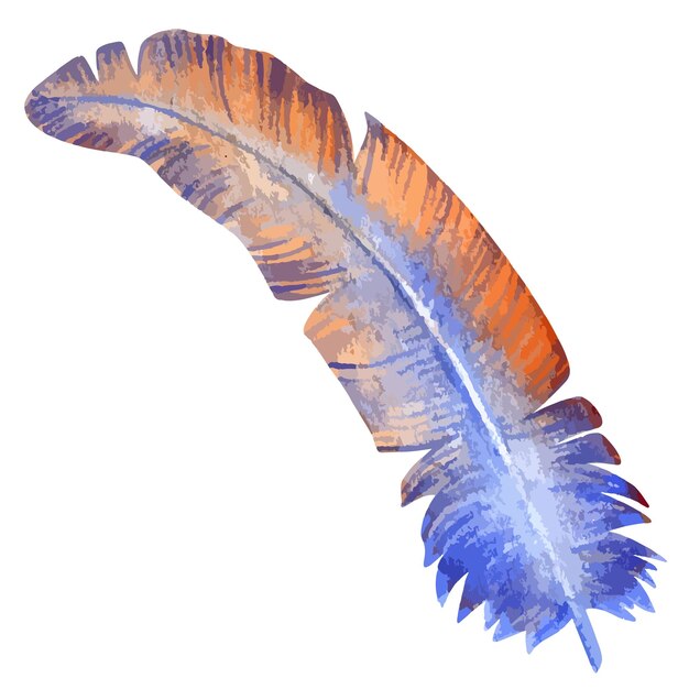 Vetor ilustração vetorial aquarela de penas de pássaros coloridas