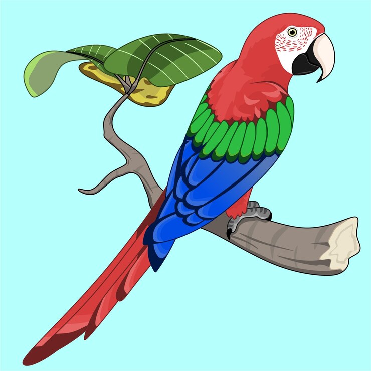 Vetor ilustração vetorial arara vermelha e verde em um galho