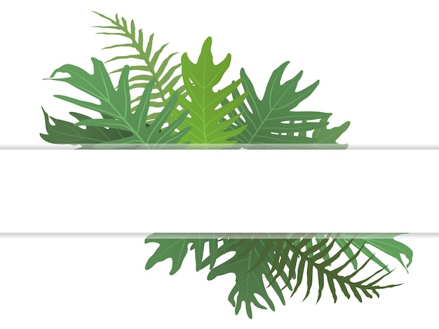 Vetor ilustração vetorial botânica com folhas tropicais isoladas em fundo branco folha verde da selva