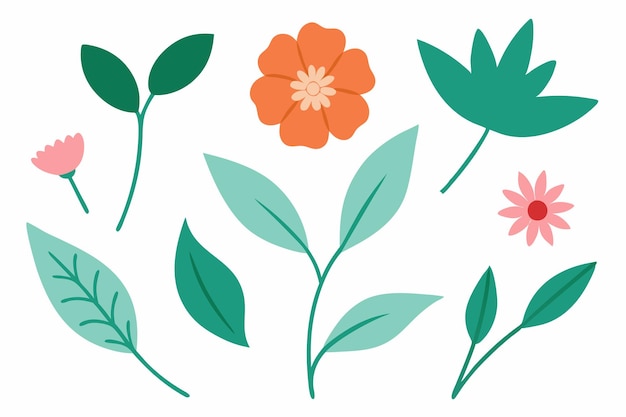 Ilustração vetorial botânica de folhas e flores
