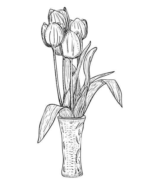 Ilustração vetorial, buquê de flores de tulipa isolado em um vaso preto e branco, contorno original pintado à mão, desenho