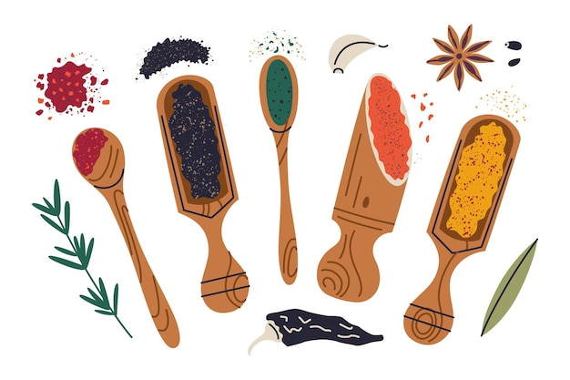Ilustração vetorial colorida de especiarias e ervas. Doodle com colheres de madeira e colheres. Cúrcuma.
