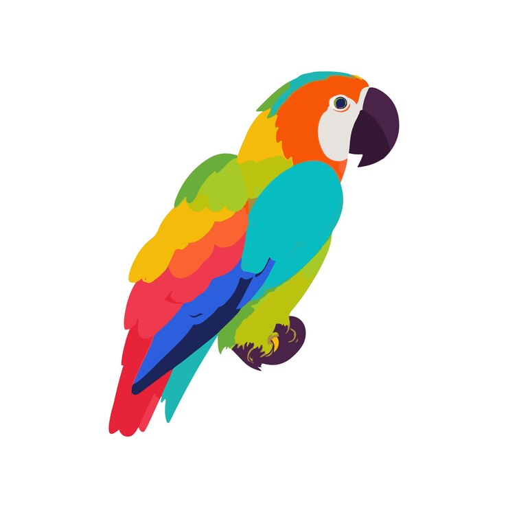 Ilustração vetorial colorida de papagaio-pássaro