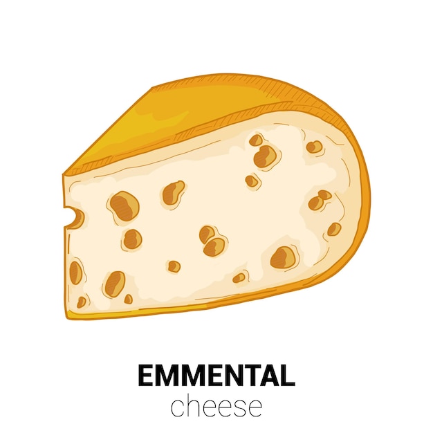 Ilustração vetorial colorida de queijo de vaca emmental