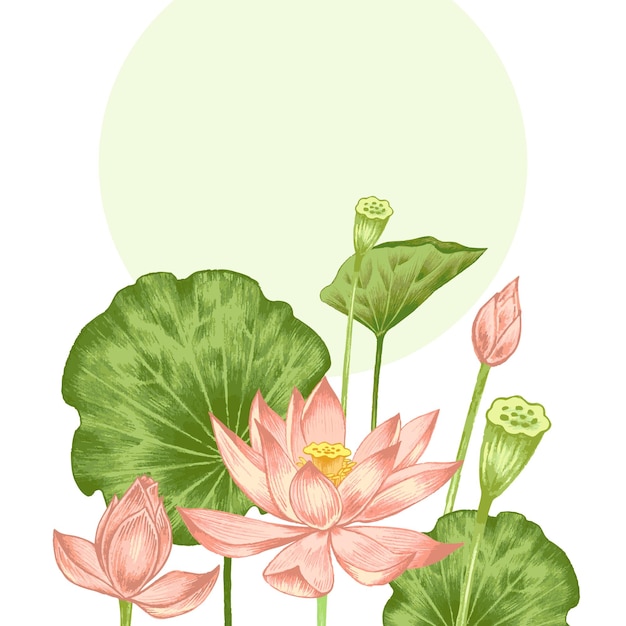 Ilustração vetorial com flores exóticas lotus vintage