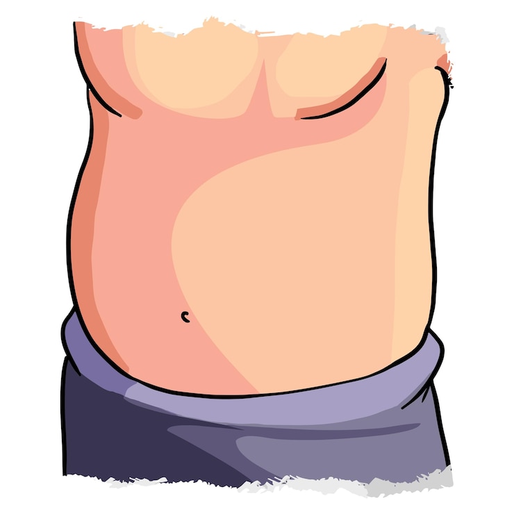 Vetor ilustração vetorial da barriga do homem