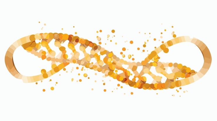 Vetor ilustração vetorial da proporção dourada do dna