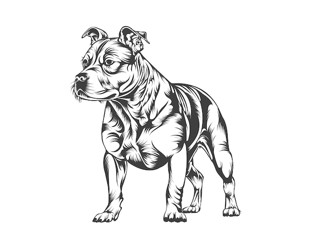 Vetor ilustração vetorial da raça de cachorro pitbull, vetor de cachorro pitbull em fundo branco para camiseta, logotipo e