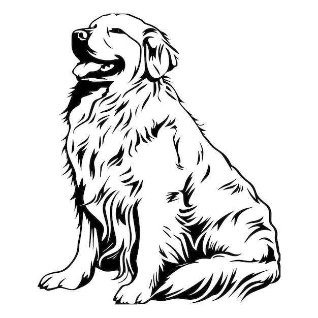 Ilustração vetorial da silhueta do golden retriever