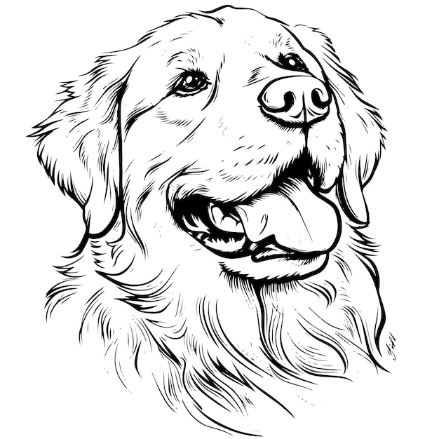 Ilustração vetorial da silhueta do golden retriever