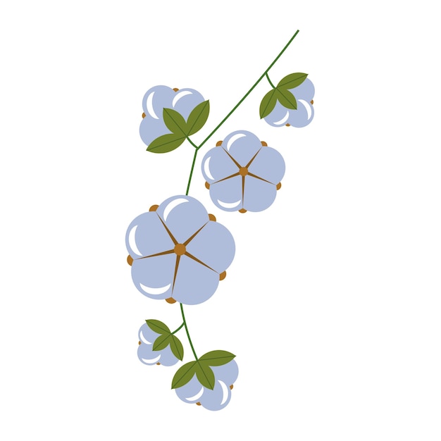 Vetor ilustração vetorial de algodão florido com caule e folhas algodão macio a imagem é adequada para embalagens e têxteis
