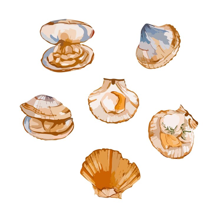 Vetor ilustração vetorial de aquarela desenhada à mão de conchas marinhas