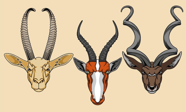 Vetor ilustração vetorial de cabeça de animal de quatro patas