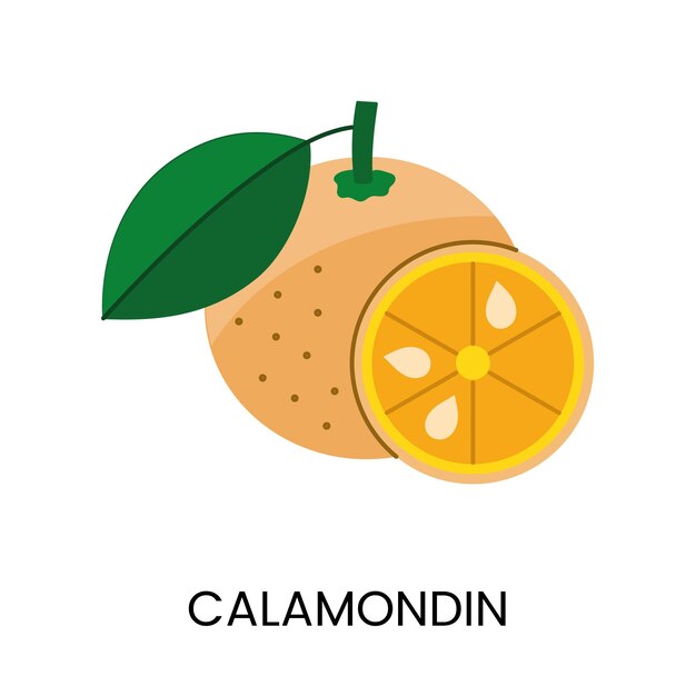 Ilustração vetorial de calamondin transmitindo suculência e cor vibrante ideal para projetos frescos e animados