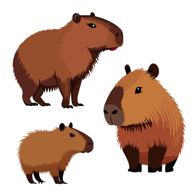 Vetor ilustração vetorial de capibara