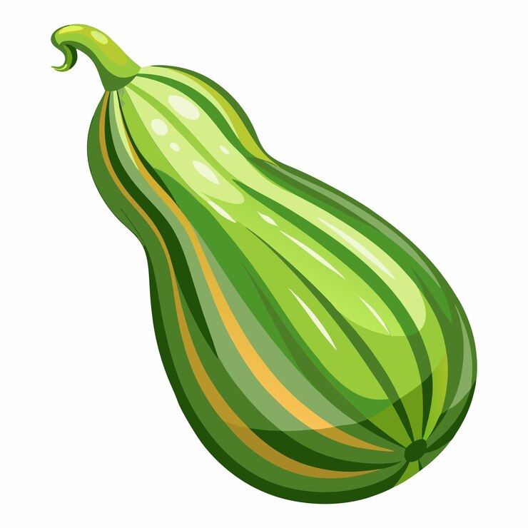 Vetor ilustração vetorial de clipart de abóbora de garrafa